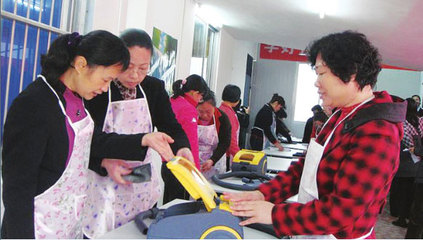 家政服务公司收费与服务详情解析